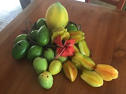 Frutas del nuestro jardín